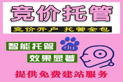 网络推广中竞价广告的投放策略及成功案例
